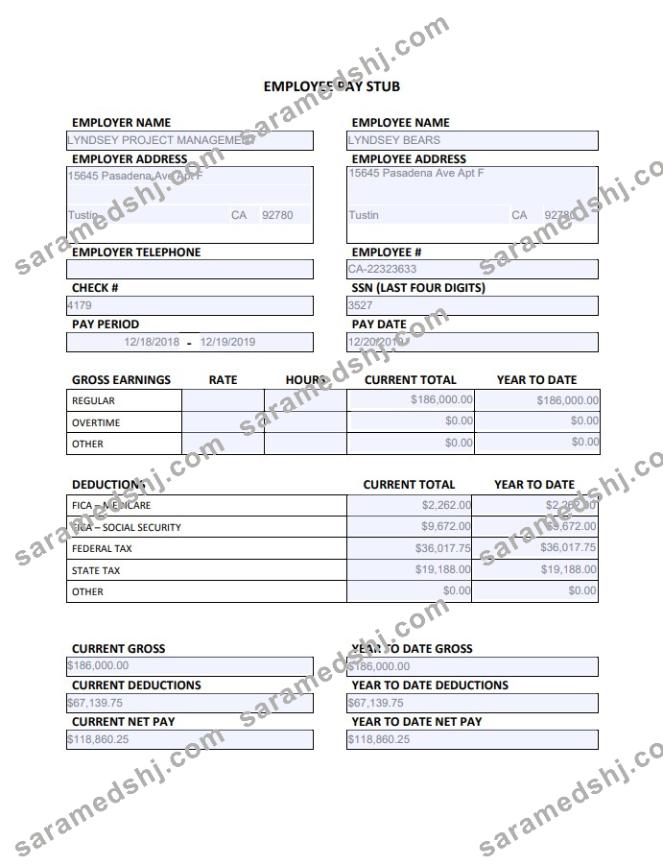 Employee Paystub Edited
